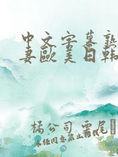 中文字幕熟女人妻欧美日韩精品