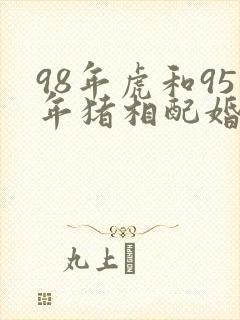 98年虎和95年猪相配婚姻如何