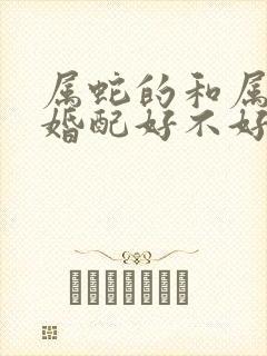 属蛇的和属狗的婚配好不好