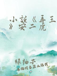 小说《弄玉偷香》安二虎