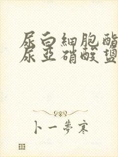 尿白细胞酯酶和尿亚硝酸盐阳性