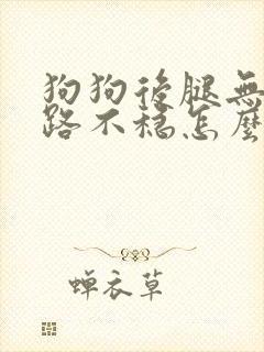 狗狗后腿无力走路不稳怎么办