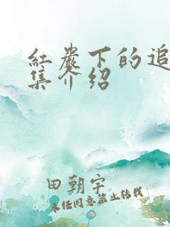 红岩下的追捕分集介绍