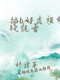插b好爽视频在线观看