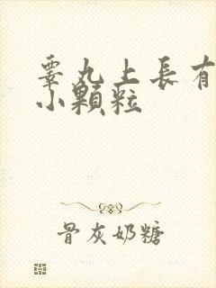 睾丸上长有白色小颗粒