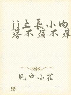 jj上长小肉疙瘩不痛不痒