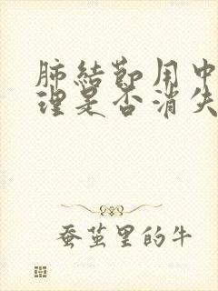 肺结节用中药调理是否消失