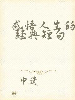 感悟人生的句子 经典短句