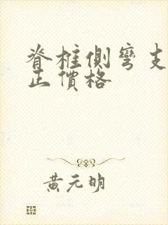 脊椎侧弯支具矫正价格