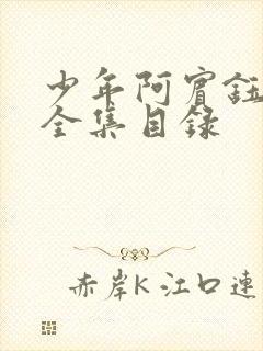 少年阿宾钰慧篇全集目录