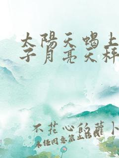 太阳天蝎上升狮子月亮天秤