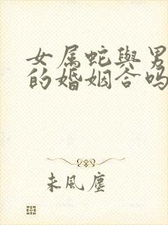 女属蛇与男属猴的婚姻合吗