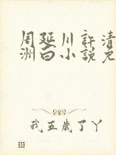 周延川许清涵沈洲白小说免费阅读