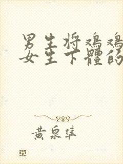 男生将鸡鸡插入女生下体的视频