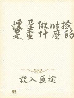 怀孕做nt检查是查什么的