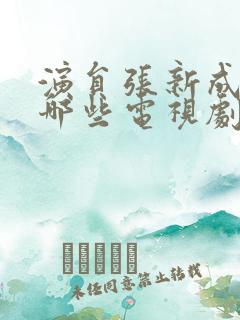 演员张新成演过哪些电视剧