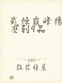 武炼巅峰杨开怎么到9品