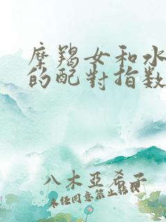 摩羯女和水瓶男的配对指数