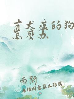 有犬瘟的狗应该怎么办