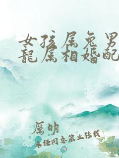 女孩属兔男孩属龙属相婚配吗