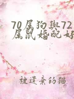 70属狗与72属鼠婚配好不好