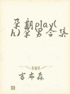 孕期play(h)孕男合集