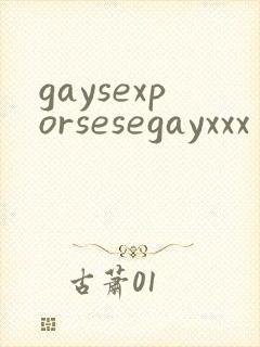 gaysexporsesegayxxx