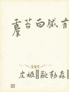 舌苔白腻有齿痕厚