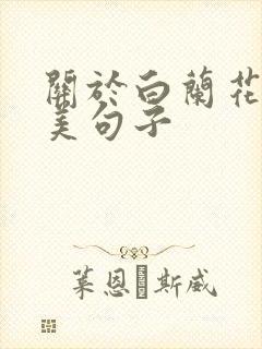 关于白兰花的唯美句子