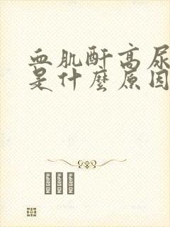 血肌酐高尿素高是什么原因引起的