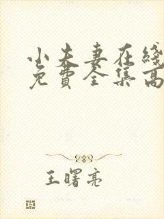 小夫妻在线观看免费全集高清完整