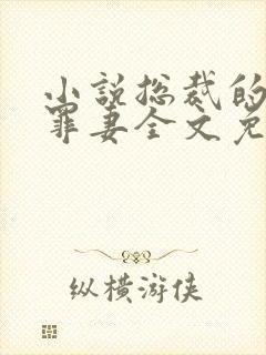 小说总裁的新婚罪妻全文免费阅读