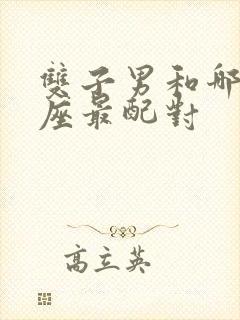 双子男和哪个星座最配对