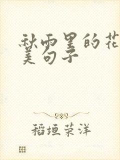 秋雨里的花的唯美句子