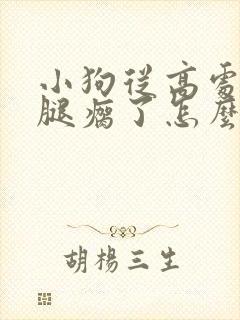 小狗从高处摔下腿瘸了怎么办