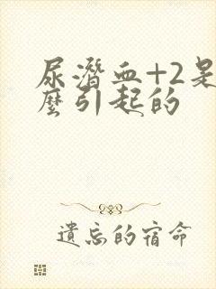 尿潜血+2是怎么引起的