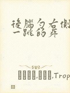 后脑勺右侧一跳一跳的疼