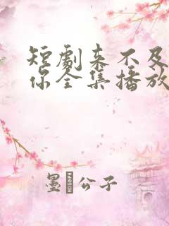 短剧来不及说爱你全集播放