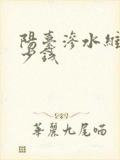 阳台渗水维修多少钱