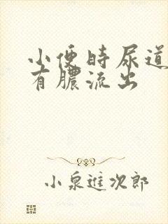 小便时尿道刺痛有脓流出