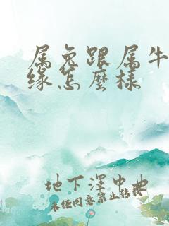 属兔跟属牛的姻缘怎么样