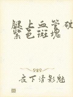 腿上血管破裂呈紫色斑块