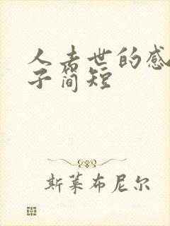 人去世的感慨句子简短