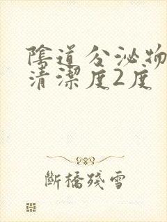 阴道分泌物检查清洁度2度