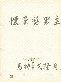 怀孕双男主小说