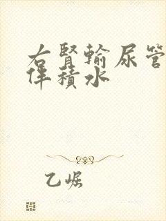 右肾输尿管结石伴积水