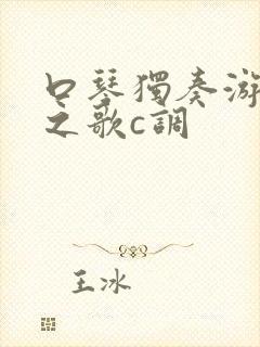 口琴独奏游击队之歌c调