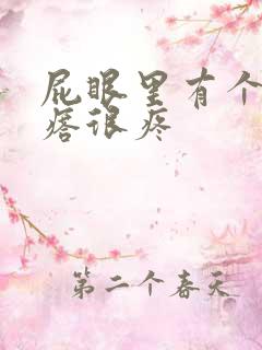 屁眼里有个硬疙瘩很疼