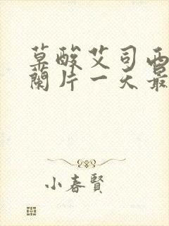 草酸艾司西酞普兰片一天最大剂量