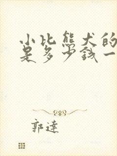 小比熊犬的价格是多少钱一只